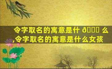 令字取名的寓意是什 🐎 么,令字取名的寓意是什么女孩